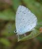 222997 – Photo : Catherine Reymonet-Smitten – France (23)
